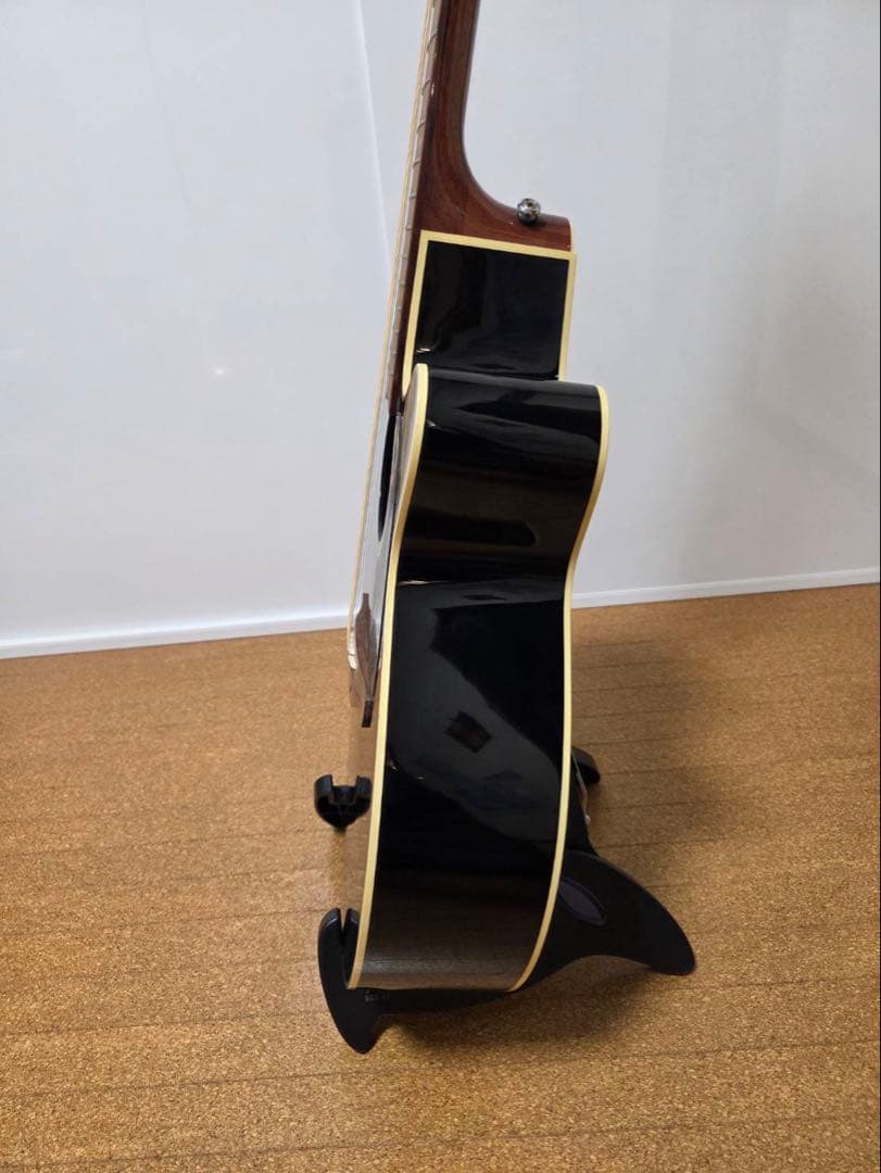 【長渕剛仕様】Takamine TDP500-6 BL/ブラック