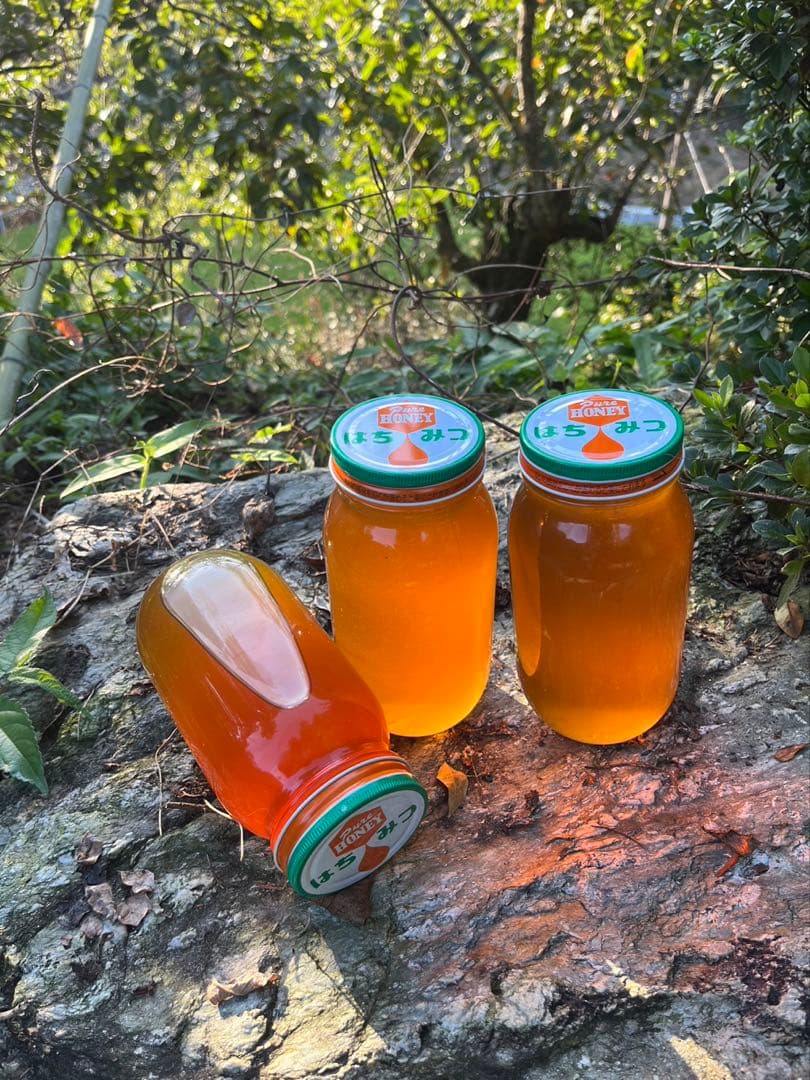 残り10kg/日本蜜蜂ハチミツ/百花蜜/1kg×2本/【最終値下げ】