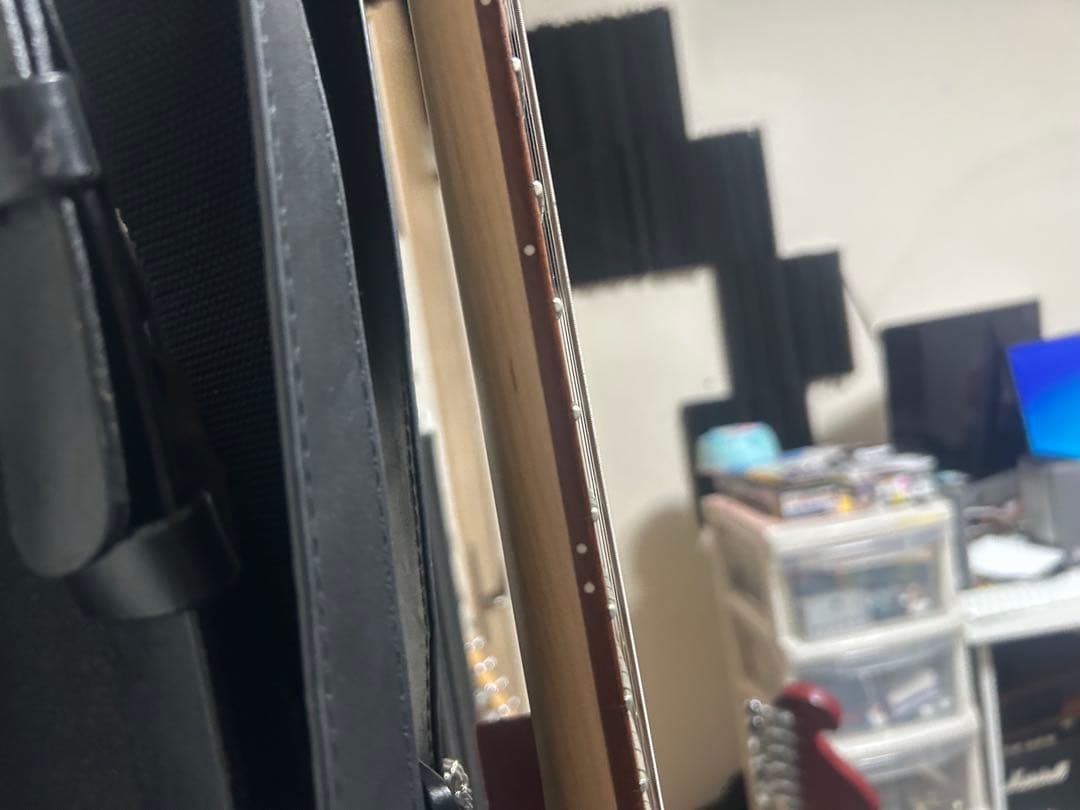 ギター Ibanez RG421PB EMG89