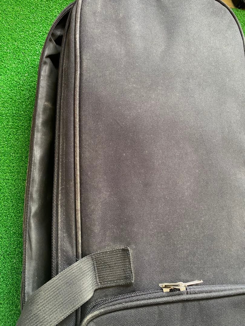 沖縄三線　蛇革　本革　ケース付き