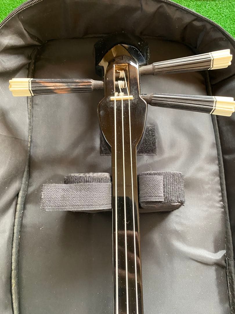 沖縄三線　蛇革　本革　ケース付き