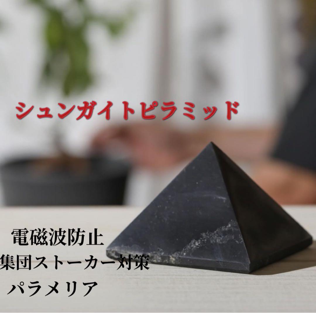 シュンガイドピラミッド　電磁波防止　5G 思考盗聴　ロシア石　集団ストーカー対策