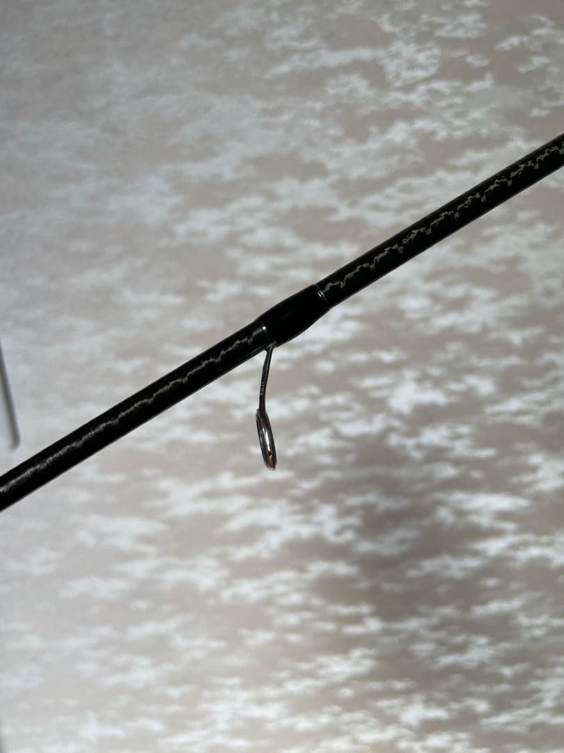 21ポイズングロリアス　2610ul/m 送料込み