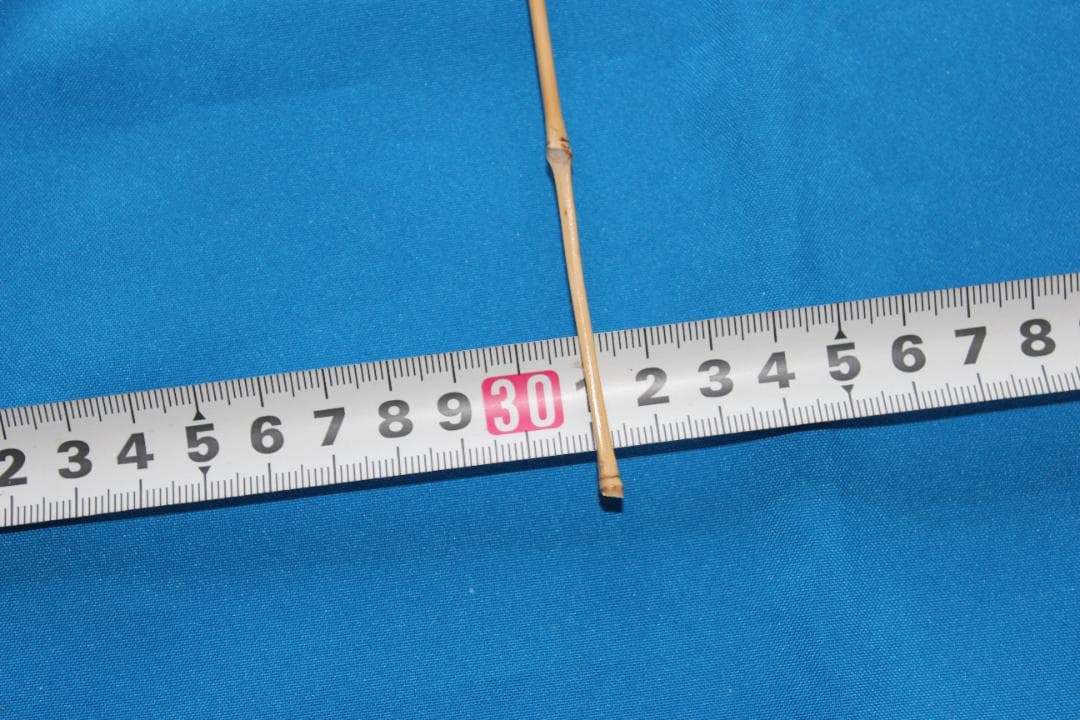 RNO64 和竿　竹竿素材　布袋竹