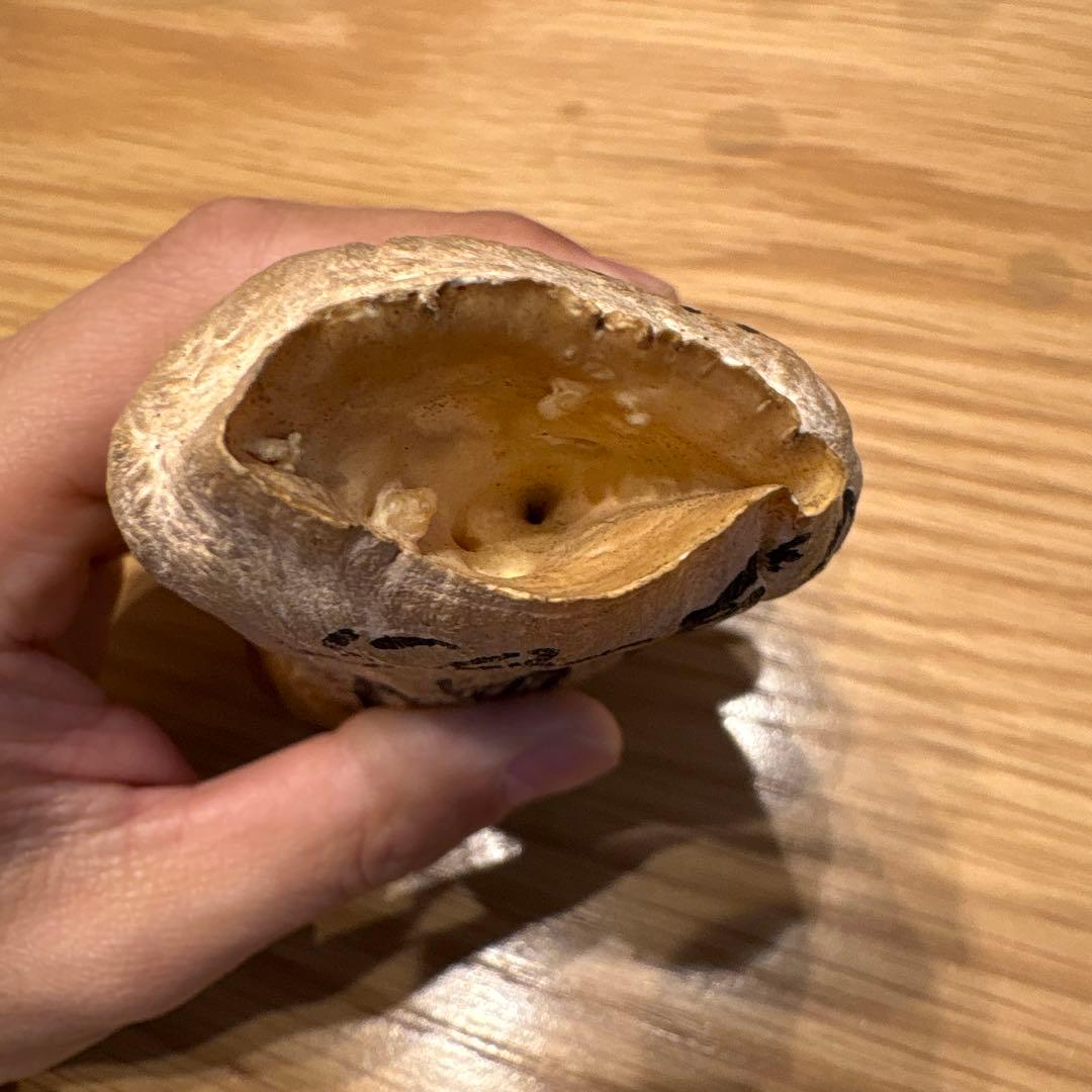 マッコウクジラの歯 382g 鯨牙 鯨歯 歯牙 天然素材 歯 印材