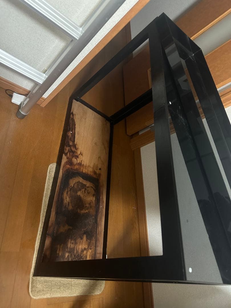 咲夜　アクリル水槽のみ