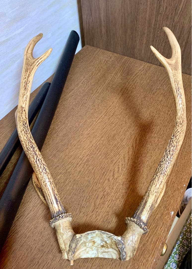 模造刀　鹿の角　サムライ　侍　コスプレ