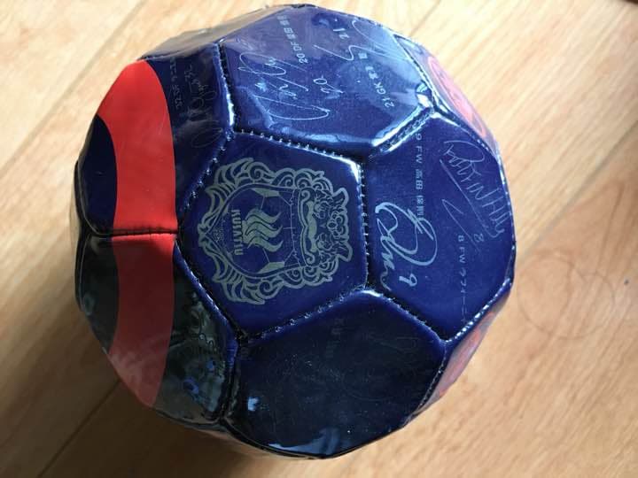 ザスパクサツ群馬サインボール