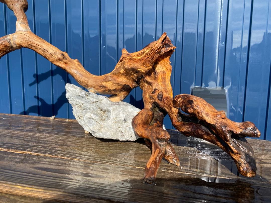 流木レイアウト A860