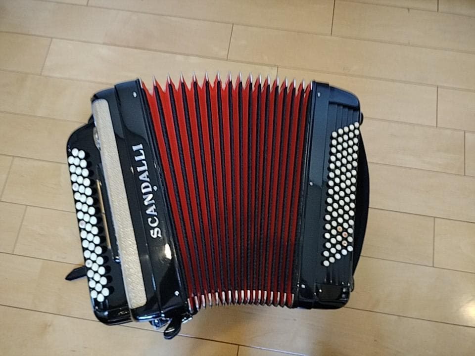 ⭐︎イタリア製⭐︎SCANDALLI ボタン式アコーディオン ソフトケース付