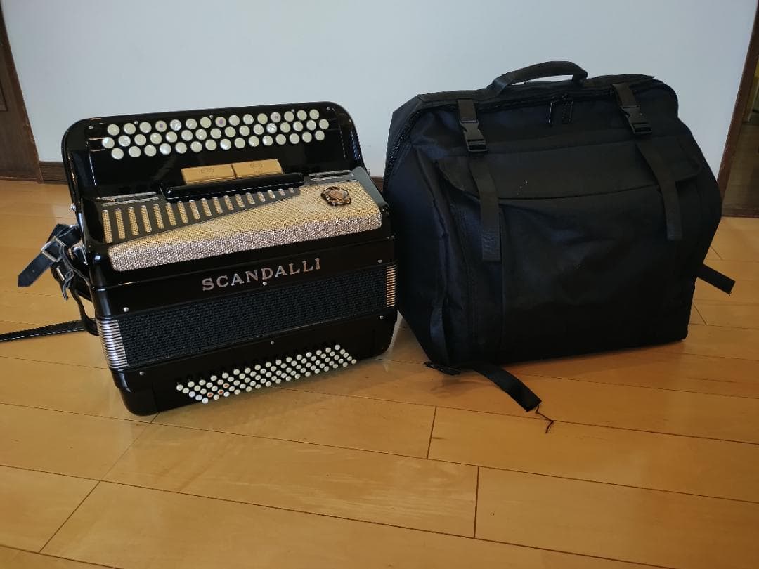 ⭐︎イタリア製⭐︎SCANDALLI ボタン式アコーディオン ソフトケース付