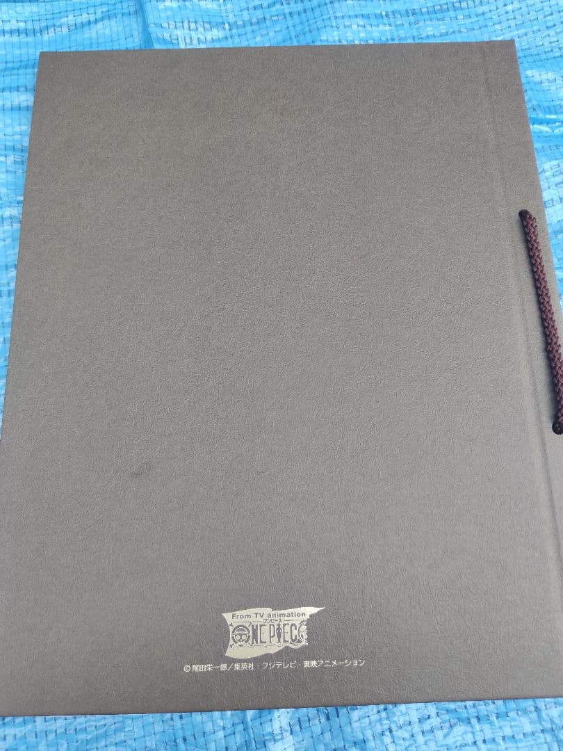 ONE PIECE ポートフォリオ　ルフィ　ゾロ　ナミ　サンジ　ポートレート付き