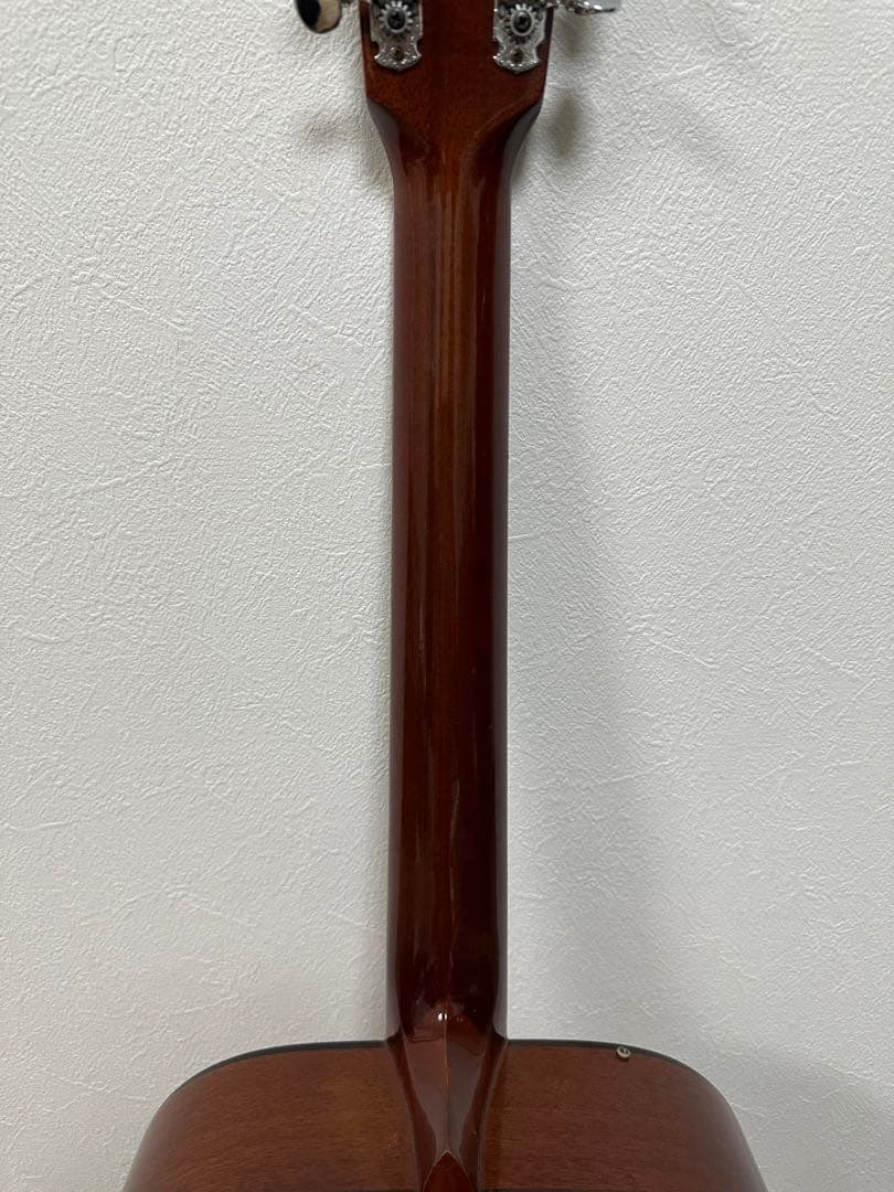 Elite Takamine アコースティックギター F80　ナチュラルウッド