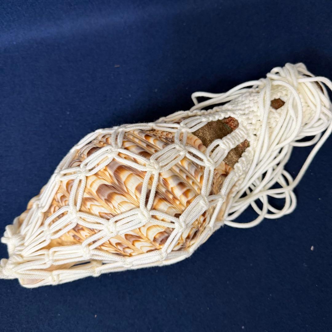 ③特大 ホラ貝 法螺貝 螺貝 ラッパ 雅楽 和楽器 古玩 旧家 蔵出 骨董品