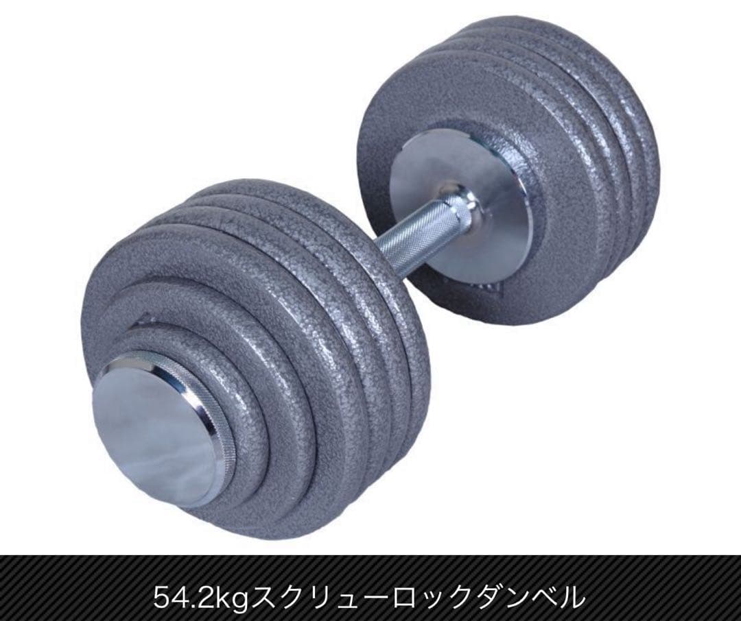 モリヤ　54.2kg スクリューロックダンベルペア　新品未使用品