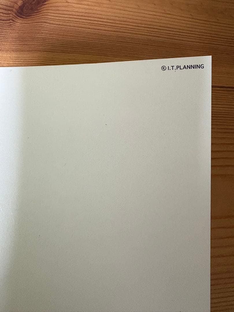 バガボンド　井上雄彦　最後の漫画展　おつう　ポスター