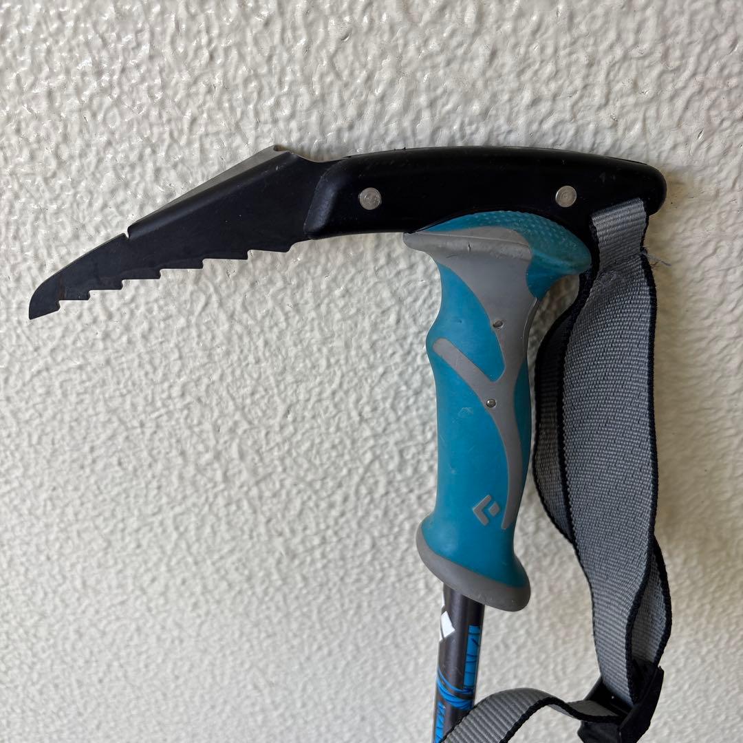  ストック　ウィペット