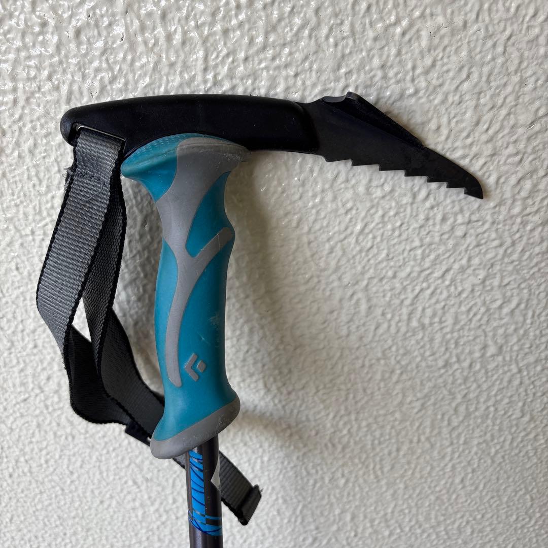  ストック　ウィペット