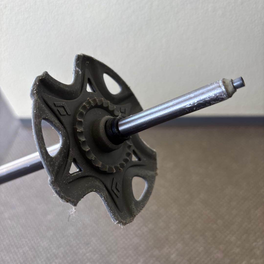  ストック　ウィペット