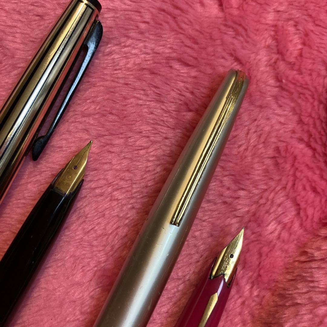 共にPLUTINUM18K, 黒の方は中字、ピンクは細軟。