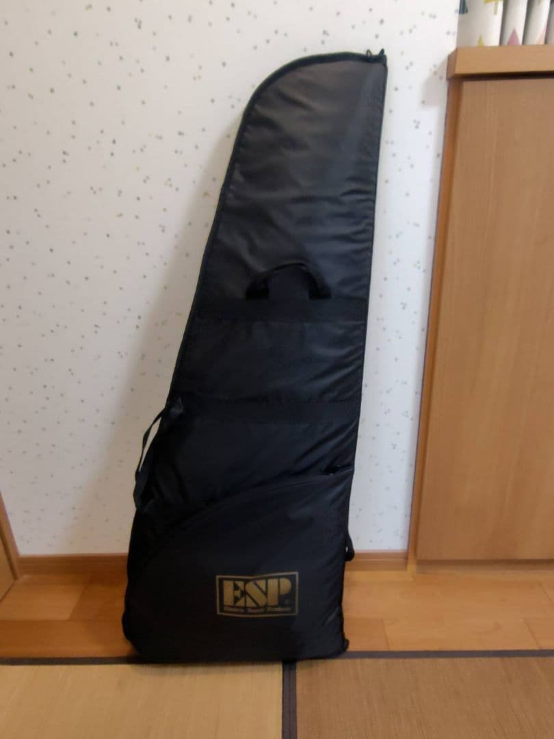 GrassRoots/G-AC-Miku 初音ミク アコースティックギター