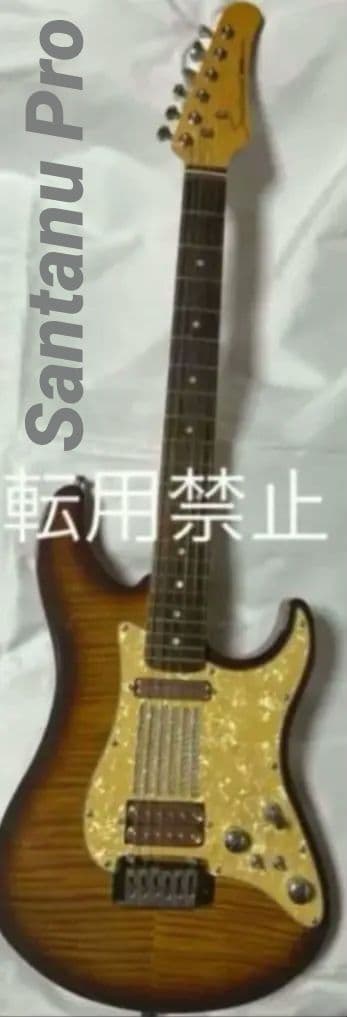 Santanu Pro 光るギター