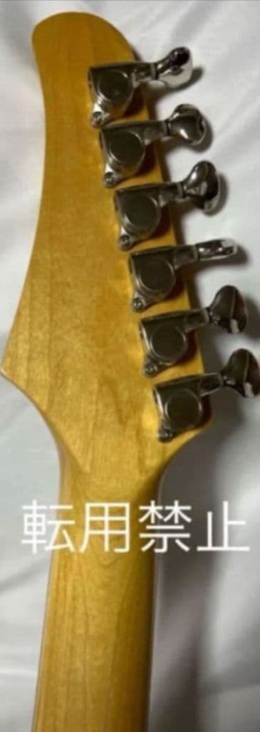 Santanu Pro 光るギター