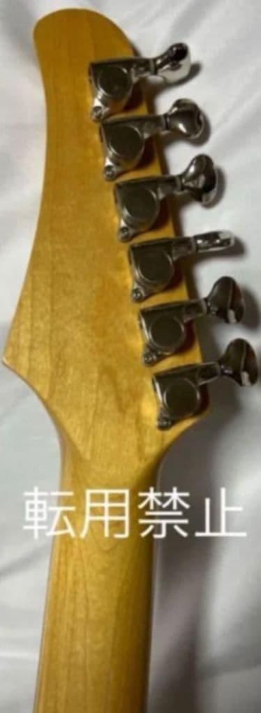 Santanu Pro 光るギター