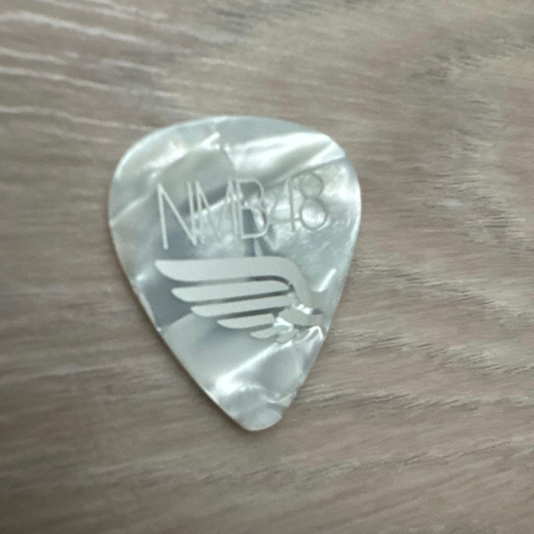 山本彩 本人使用 オリジナルピック ☆Sayaka Yamamoto/NMB48