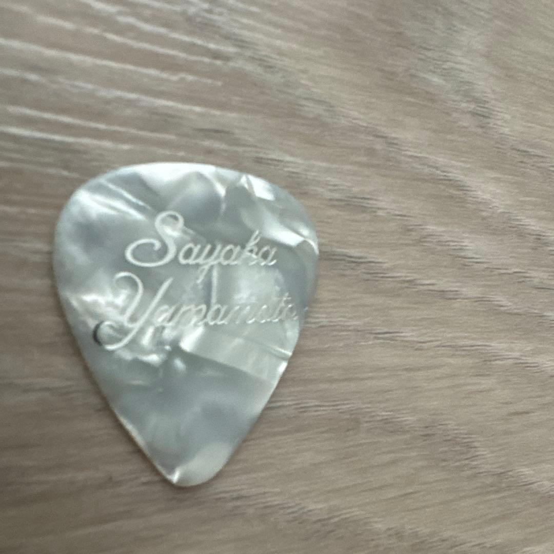 山本彩 本人使用 オリジナルピック ☆Sayaka Yamamoto/NMB48