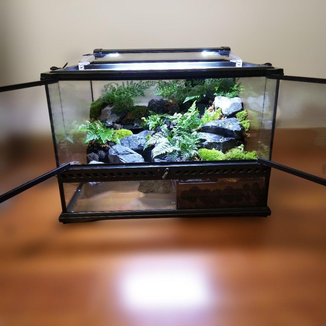 【受注生産】滝のあるアクアテラリウム　グラステラリウム 4530イモリウム