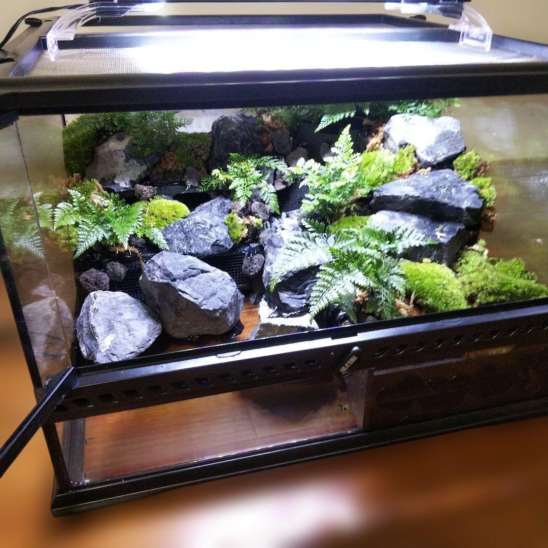 【受注生産】滝のあるアクアテラリウム　グラステラリウム 4530イモリウム