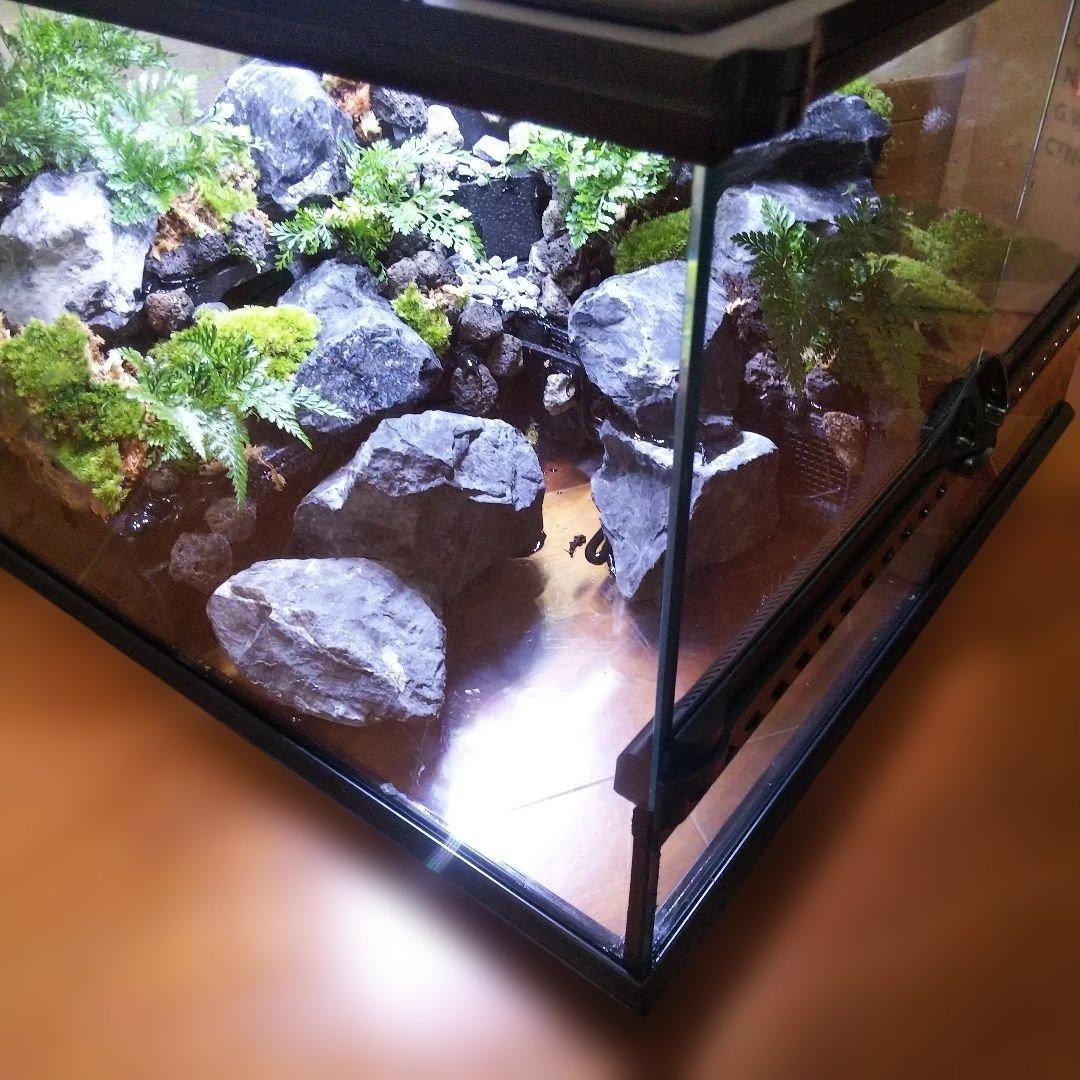 【受注生産】滝のあるアクアテラリウム　グラステラリウム 4530イモリウム