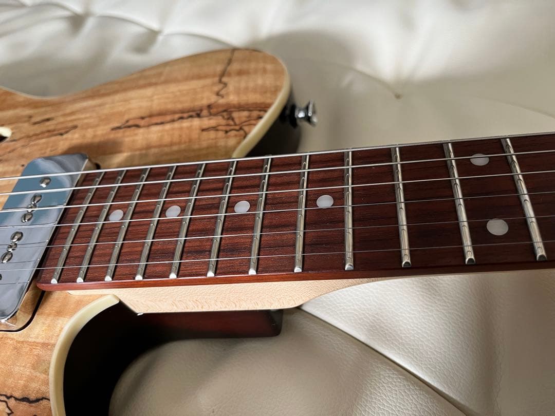 【美品】Michael Kerry Thinline 【ハードケース付き】