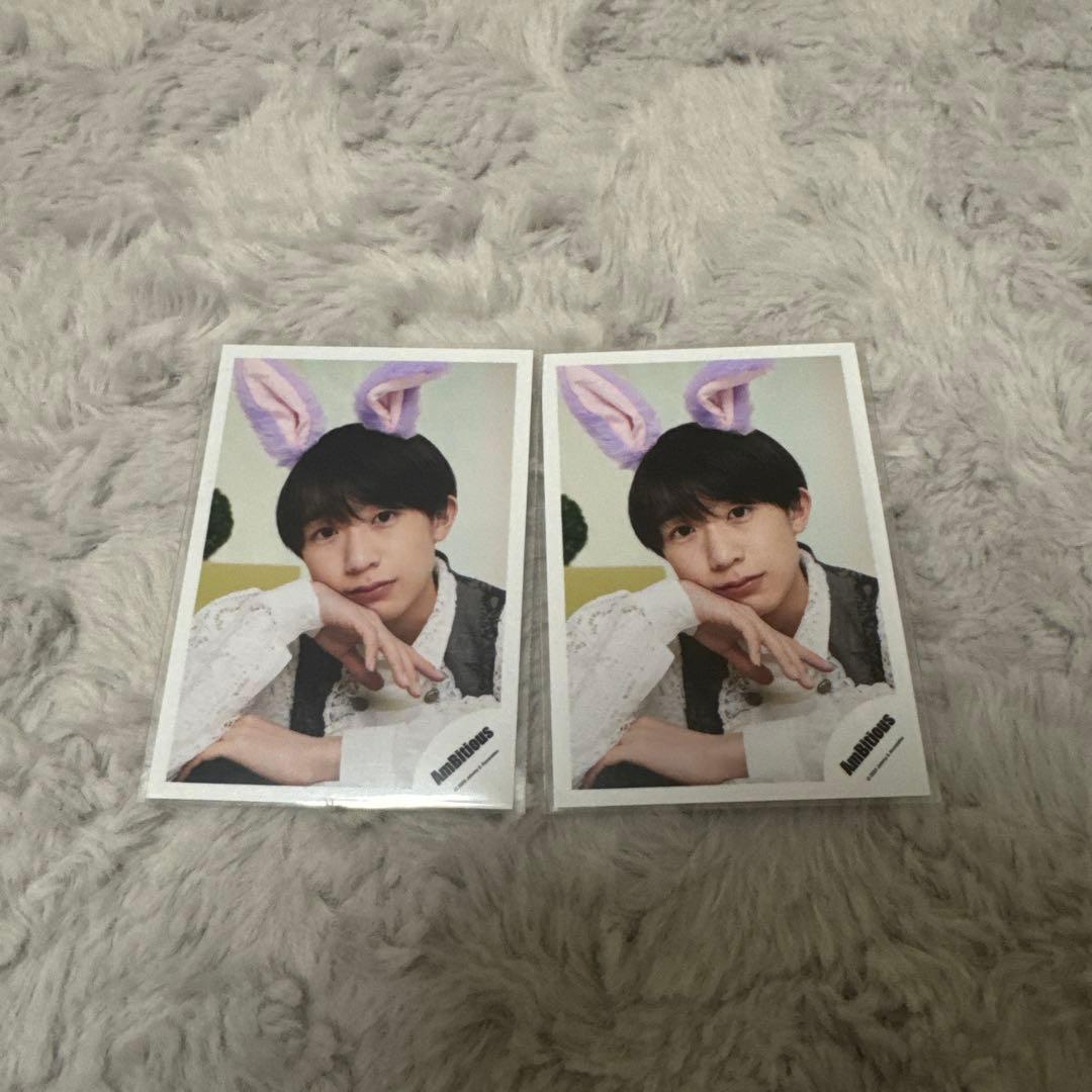 永岡蓮王 まとめ売り