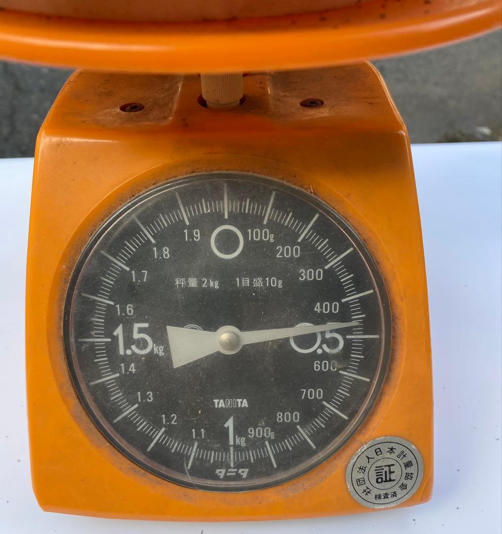 岩手県産松茸10/13日朝収穫 蕾、開きセット（総重量約1.1kg）