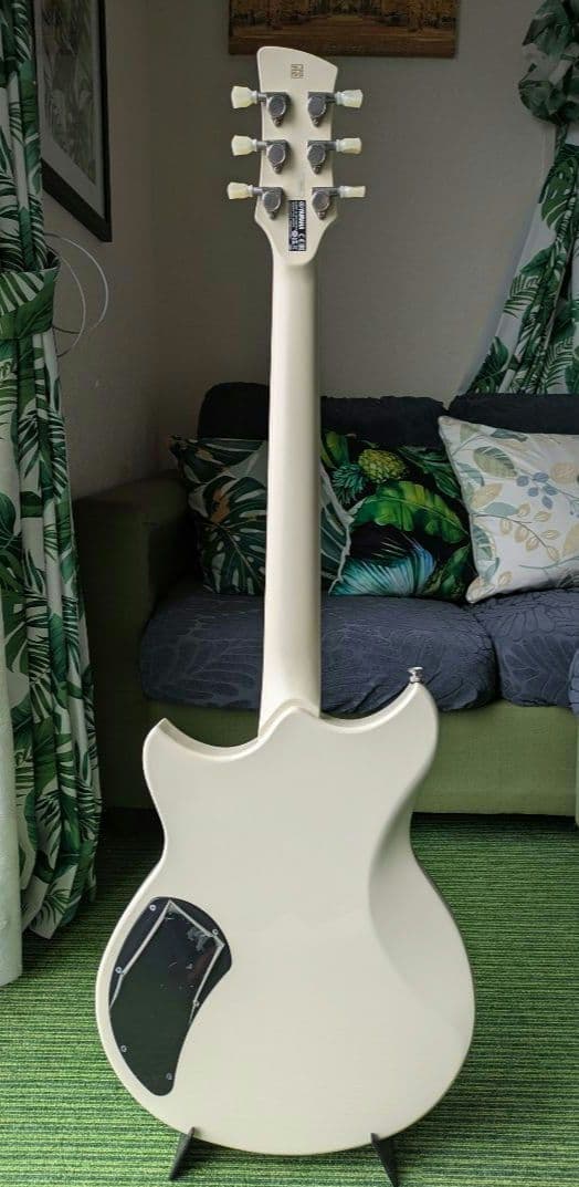 売約済み　リー　YAMAHA REVSTAR RSE20