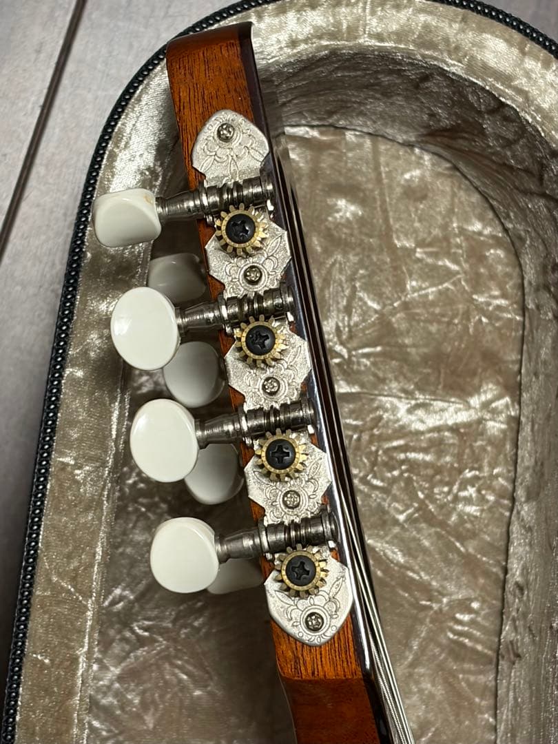 ✴︎美品✴︎お得✴︎ スズキ製マンドリン M-30 & 美品スーパーライトケース付き