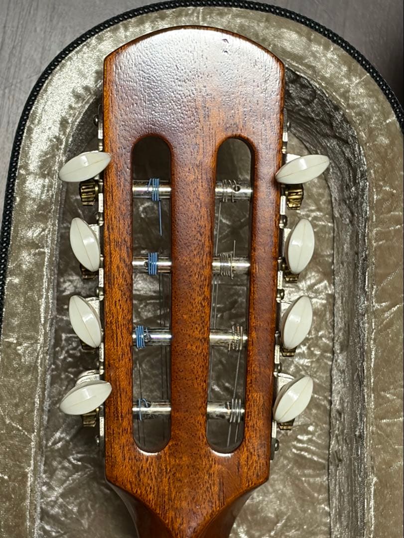 ✴︎美品✴︎お得✴︎ スズキ製マンドリン M-30 & 美品スーパーライトケース付き