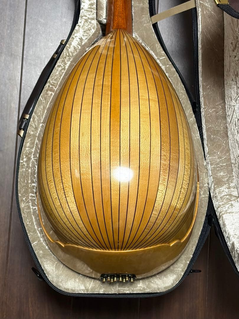 ✴︎美品✴︎お得✴︎ スズキ製マンドリン M-30 & 美品スーパーライトケース付き