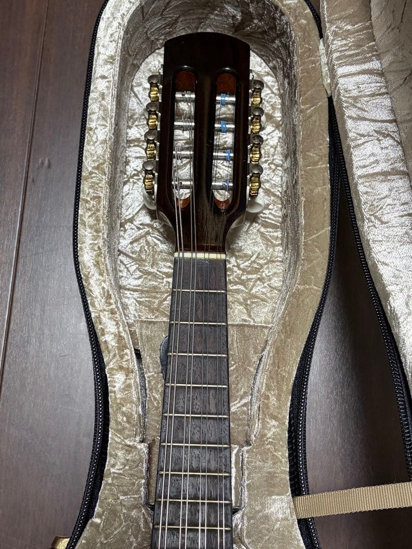 ✴︎美品✴︎お得✴︎ スズキ製マンドリン M-30 & 美品スーパーライトケース付き