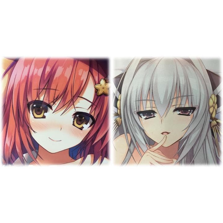 レミニセンス タペストリー 10枚セット