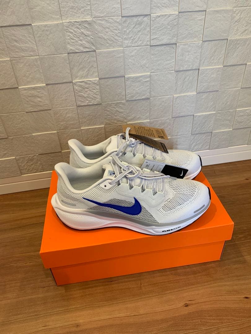 26cm ナイキ　ペガサス41