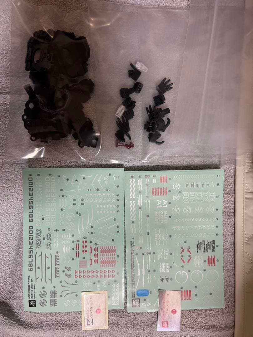 MG 1/100 ガンダムSEEDシリーズ ルナマリア専用ザク モビルジン