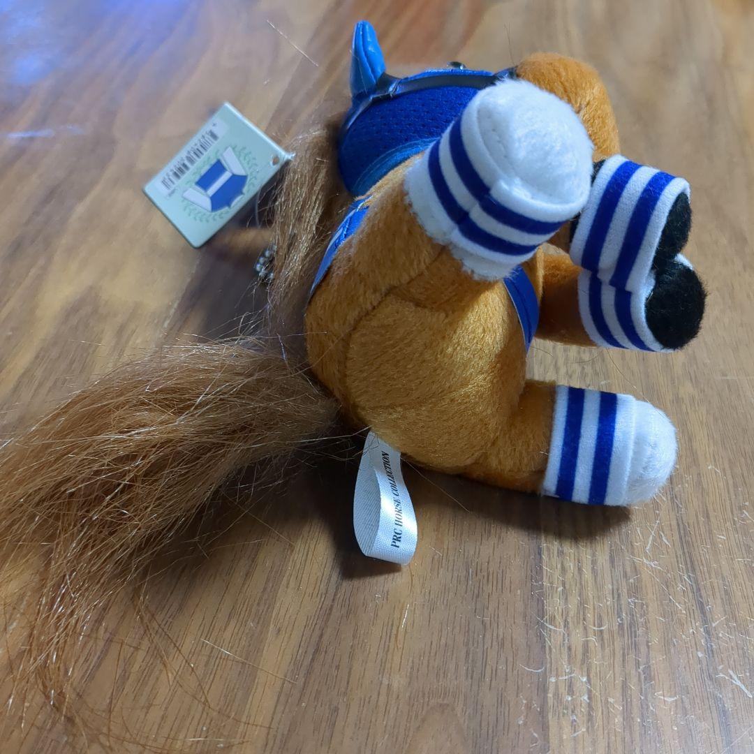 送込★アイドルホースセレクション 第53回有馬記念 ダイワスカーレット