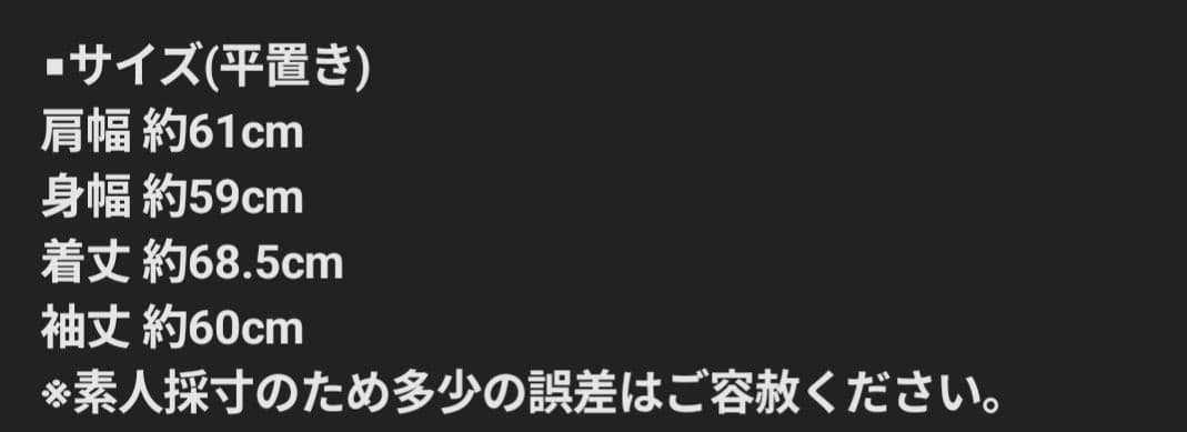 the GazettE NINTH パーカー　Heresy Limited