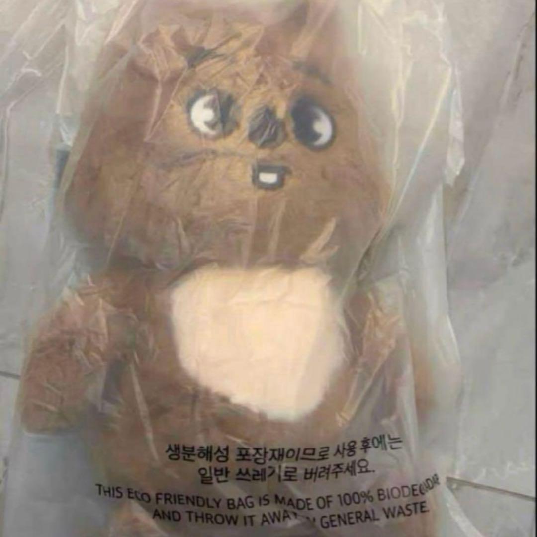 テディベア ぬいぐるみ teddybear SKZOO ハン　ハンクォ