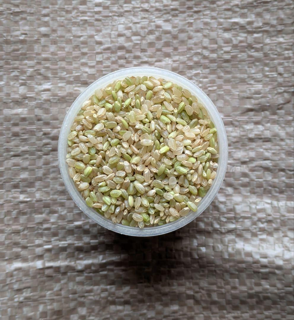 頑張ろ福島　令和７年度産会津コシヒカリ玄米30キロ着払い