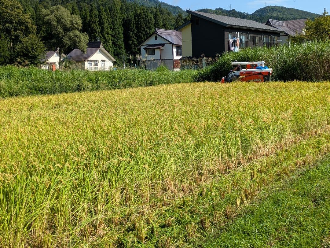 頑張ろ福島　令和７年度産会津コシヒカリ玄米30キロ着払い