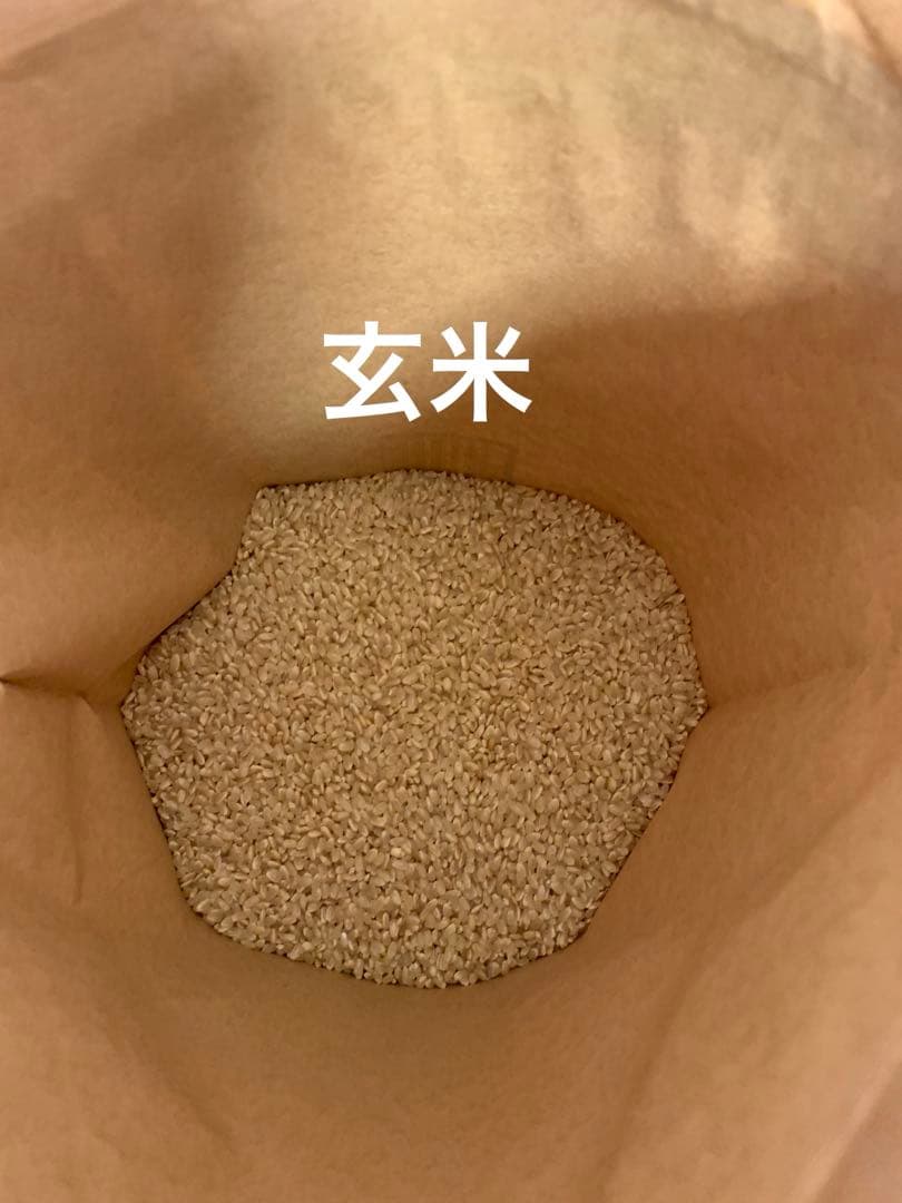 令和7年度　新米ヒノヒカリ　20kg(玄米)送料込